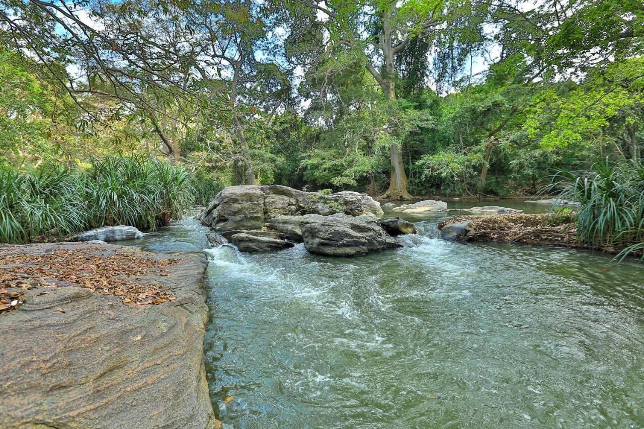 Sayon River Cottage & Eco Garden Monaragala Экстерьер фото